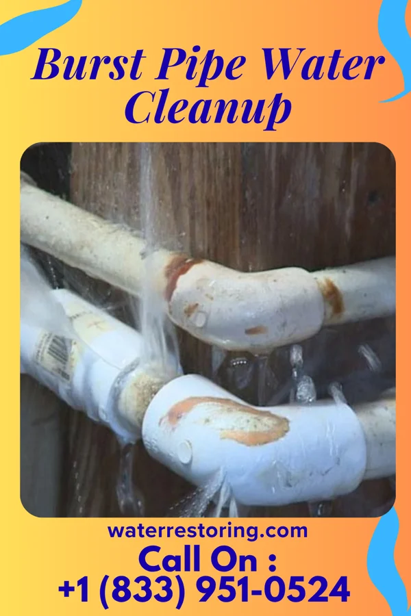 Burst Pipe Water Cleanup in Chance, MD