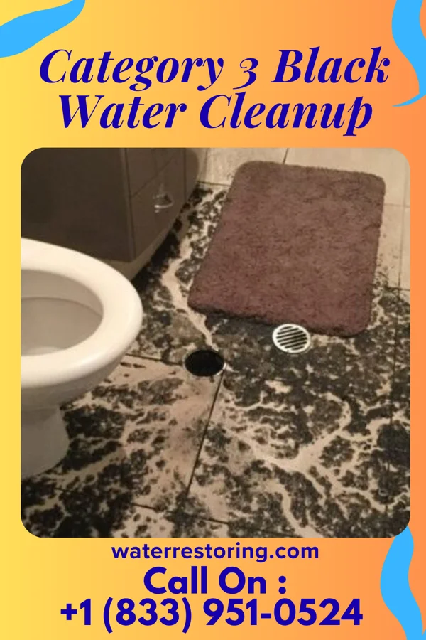 Category 3 Black Water Cleanup in Chance, MD
